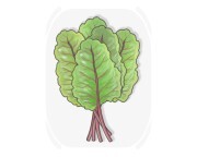Swiss chard