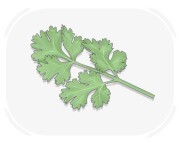 parsley