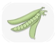 pea