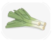 scallion