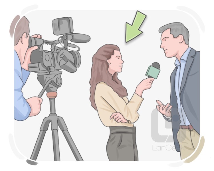 television reporter definition and meaning