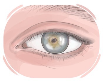 eye