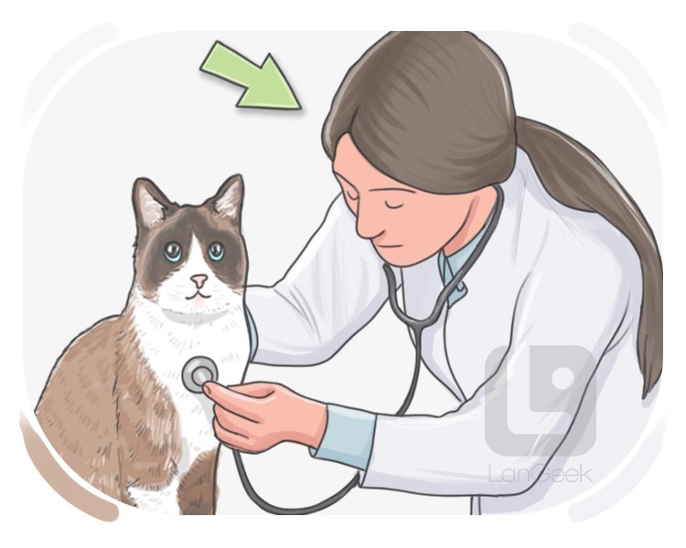 veterinarian definition and meaning