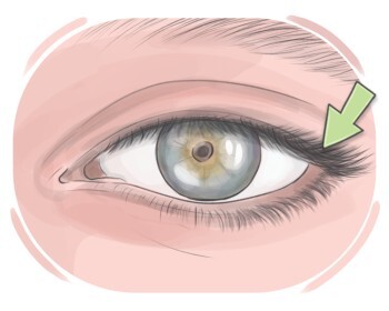 eyelash