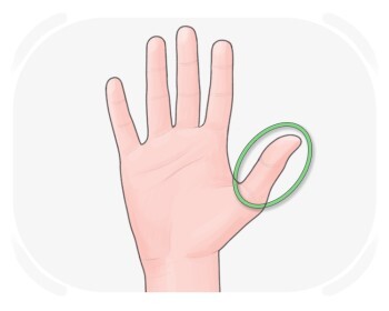 thumb