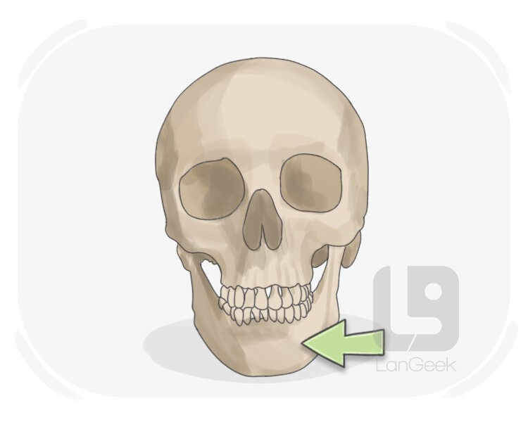 jawbone definition and meaning