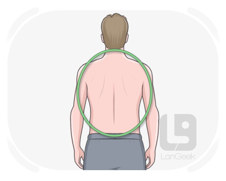 back definition and meaning