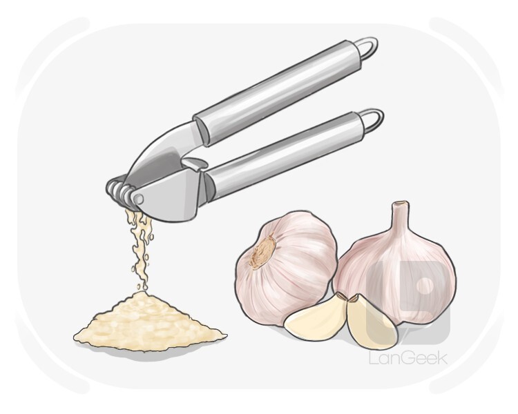 garlic press definition and meaning