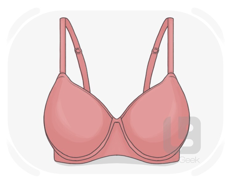 bra definition and meaning