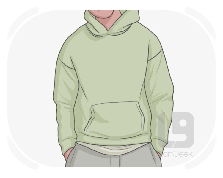 hoodie definition and meaning