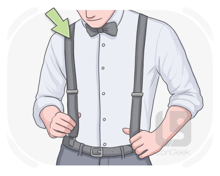 suspender definition and meaning