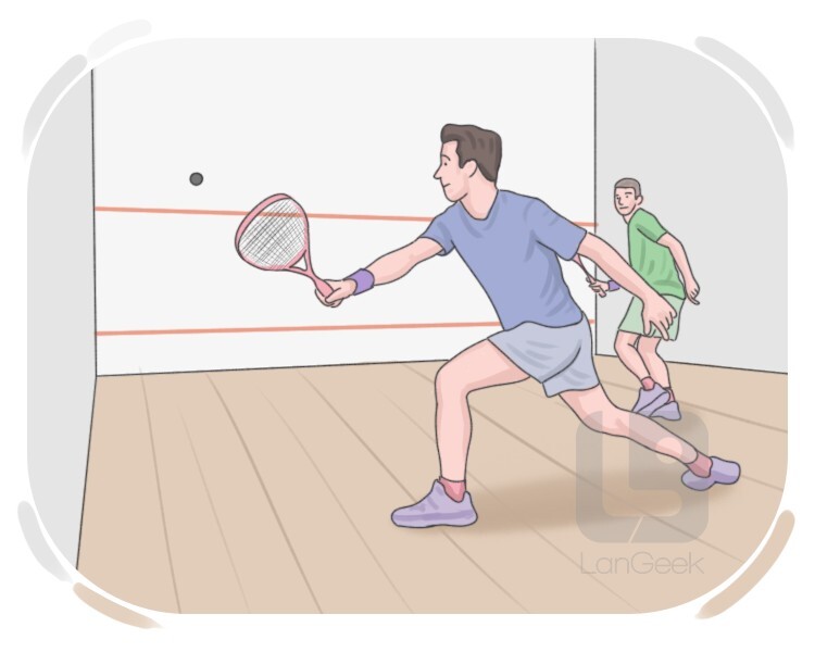 squash definition and meaning