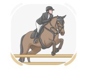 equestrian