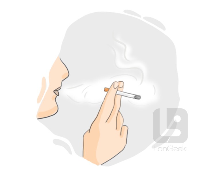 cigaret definition and meaning