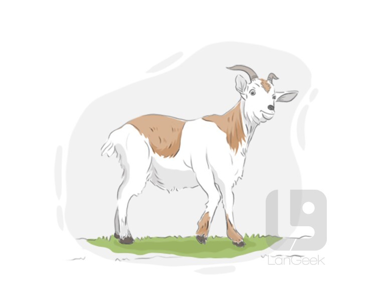 nanny-goat definition and meaning