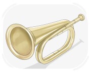 bugle
