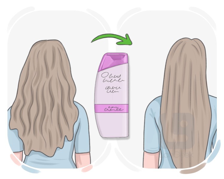 conditioner definition and meaning