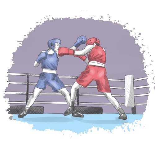 Combat Sports