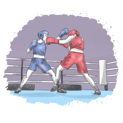 Combat Sports