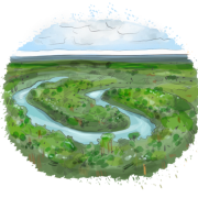 Amazon Rainforest