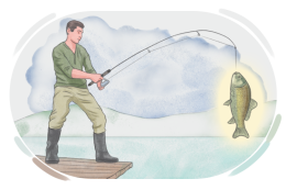 "Verb Complements" in the English Grammar