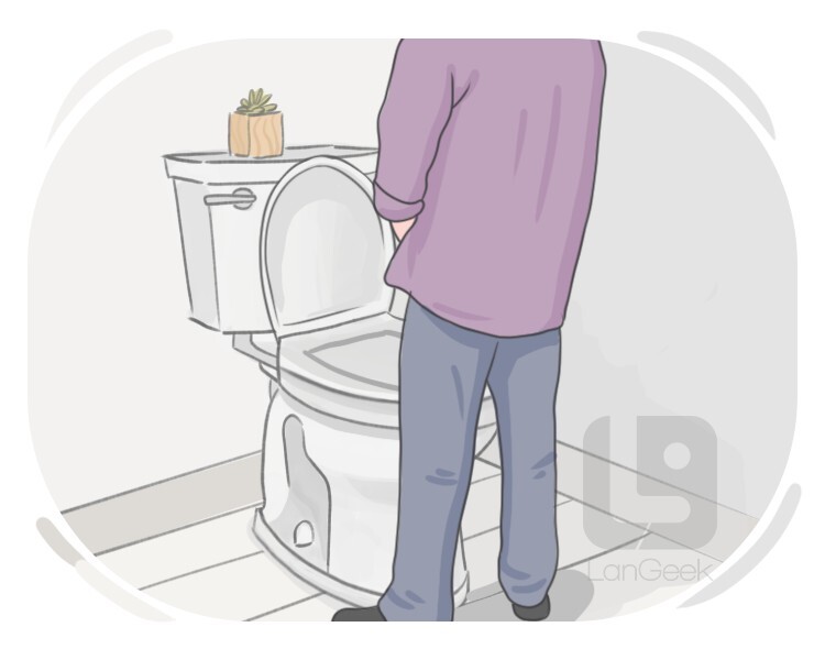 to urinate definition and meaning