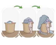 to lump