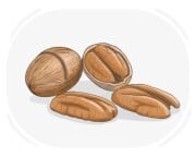 pecan