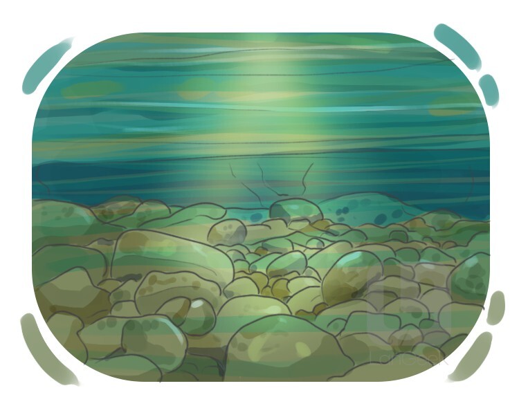 riverbed definition and meaning