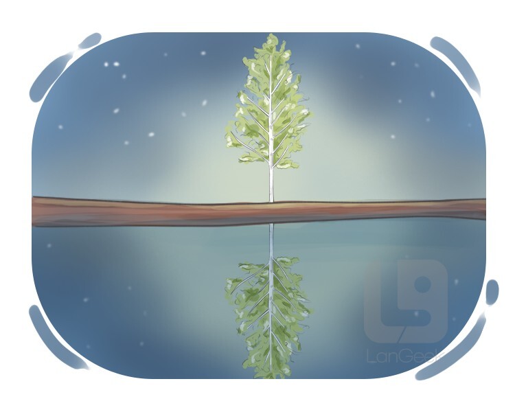 reflection definition and meaning