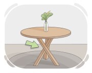 leg