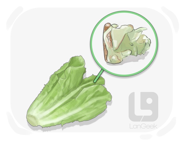 la pomme definition and meaning