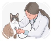 la veterinaria
