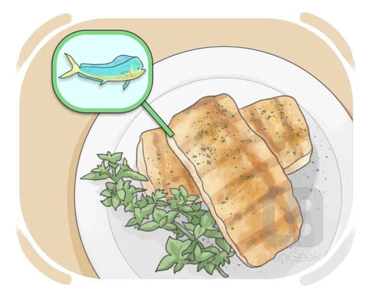 mahi-mahi definition and meaning