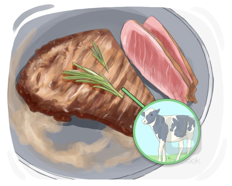 el filete definition and meaning