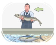 fishmonger