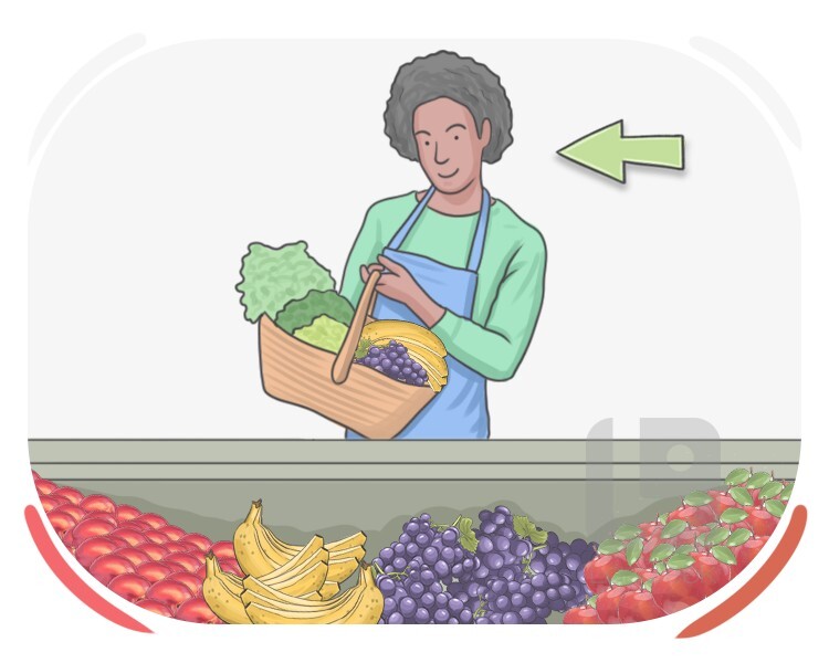 fruiterer definition and meaning