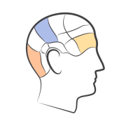 subcategory image