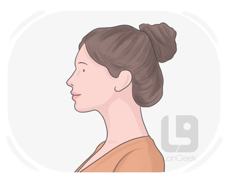 profile definition and meaning