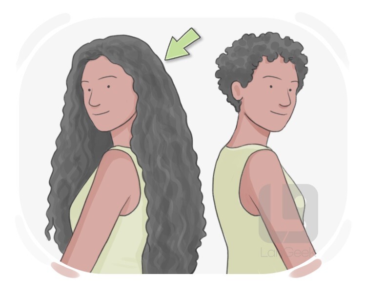 long-haired definition and meaning