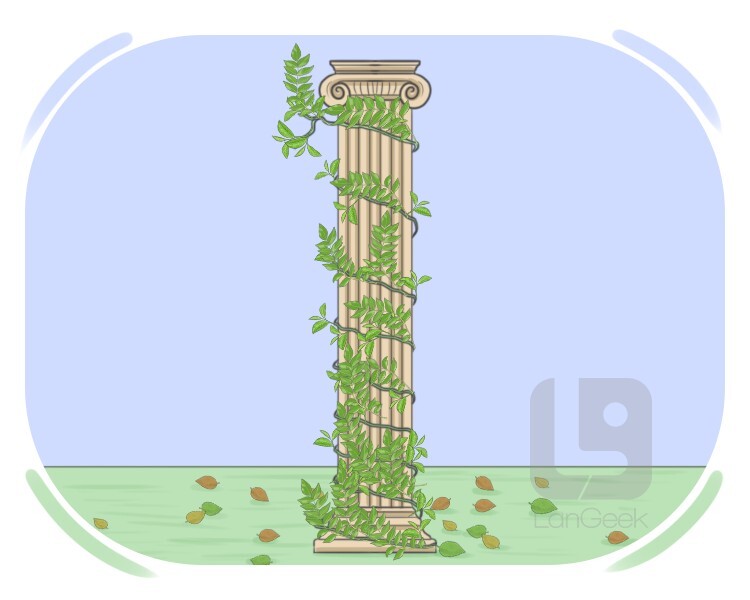 climber definition and meaning