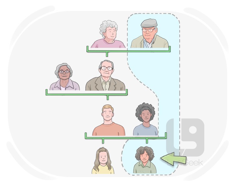 el bisnieto definition and meaning