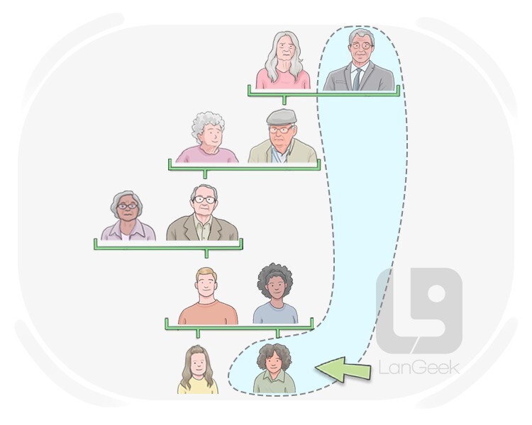 el tataranieto definition and meaning