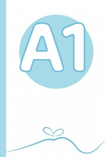 A1 level