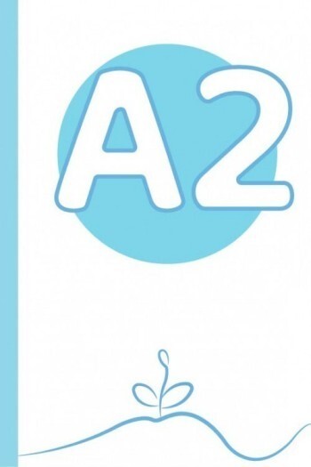 A2 level