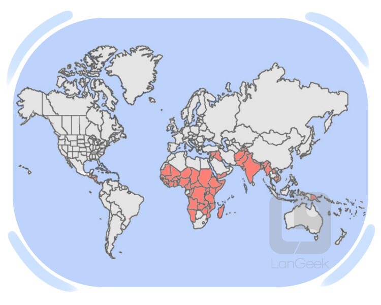 third world definition and meaning