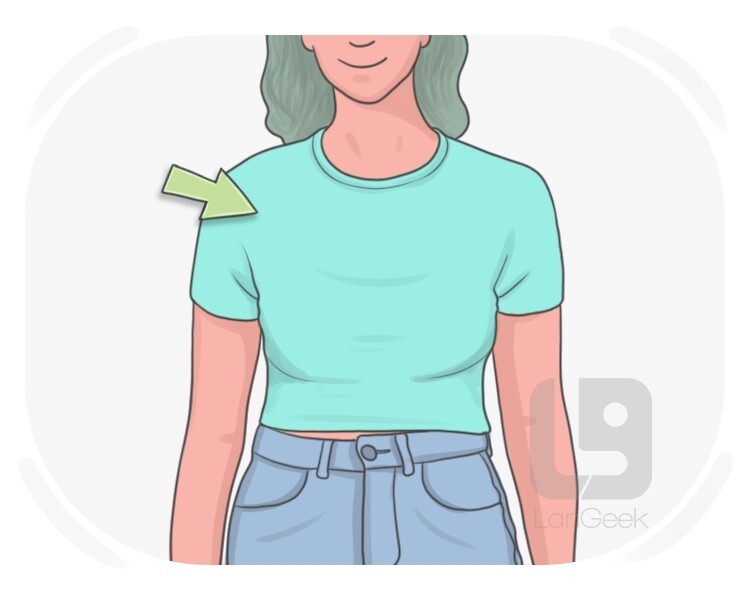 top definition and meaning