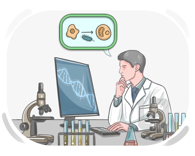 theory definition and meaning