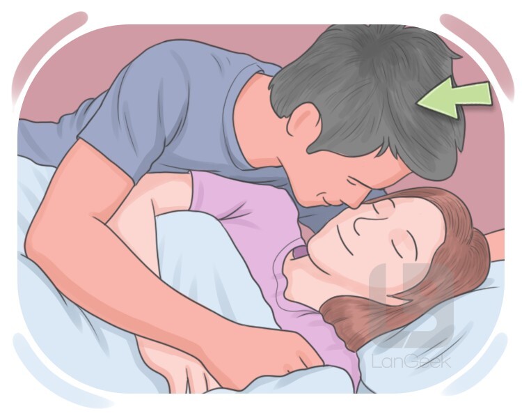 lover definition and meaning