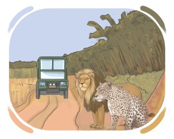 safari